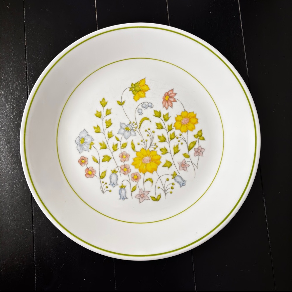 Vintage Corelle "Meadow" Dinner Plates; set of 7